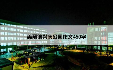 美丽的兴庆公园作文450字
