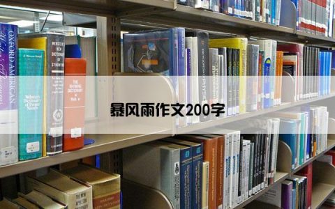 暴风雨作文200字