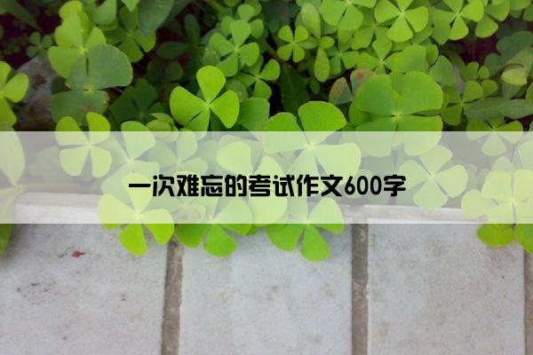 一次难忘的考试作文600字