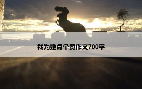 我为她点个赞作文700字