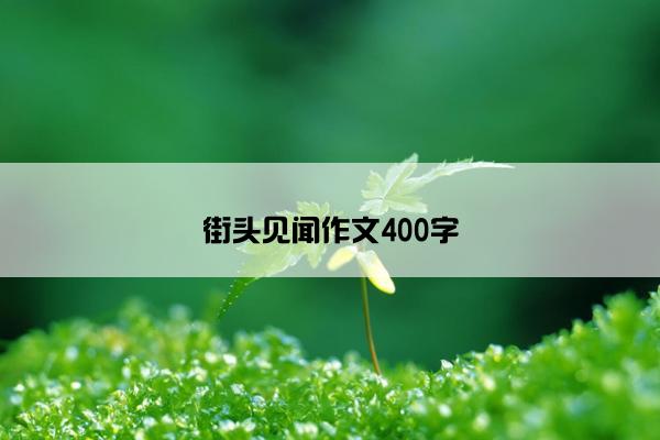 街头见闻作文400字