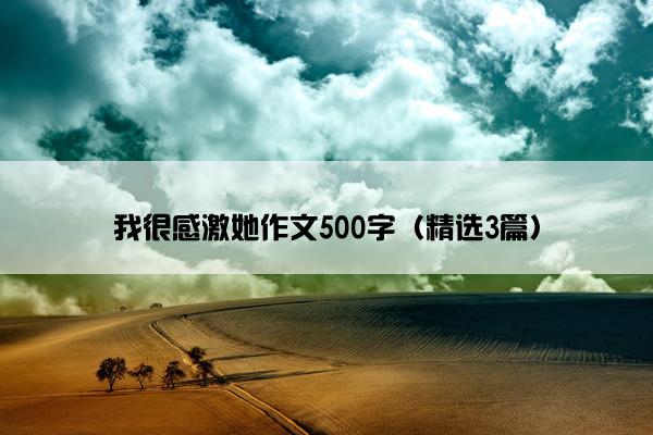 我很感激她作文500字（精选3篇）