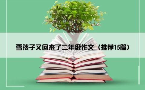 雪孩子又回来了二年级作文（推荐15篇）