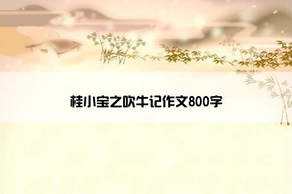 桂小宝之吹牛记作文800字