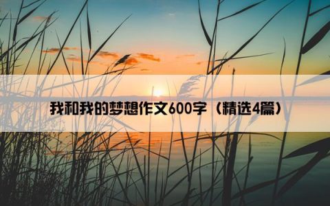 我和我的梦想作文600字（精选4篇）