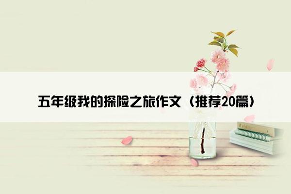 五年级我的探险之旅作文（推荐20篇）