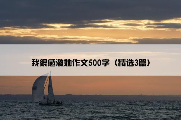 我很感激她作文500字（精选3篇）