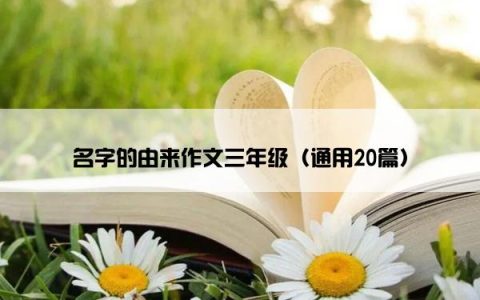 名字的由来作文三年级（通用20篇）