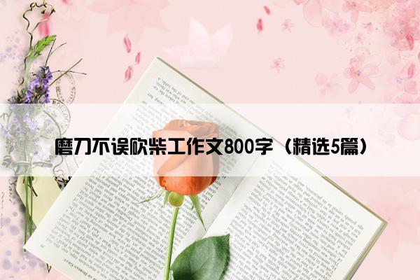 磨刀不误砍柴工作文800字（精选5篇）