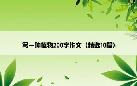 写一种植物200字作文（精选10篇）