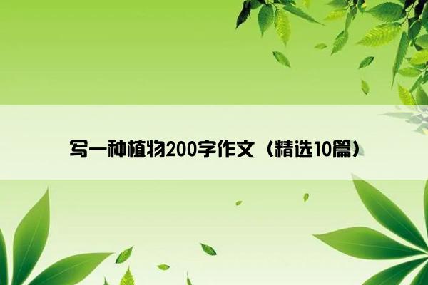 写一种植物200字作文（精选10篇）