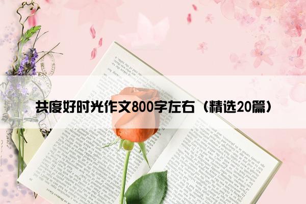 共度好时光作文800字左右（精选20篇）