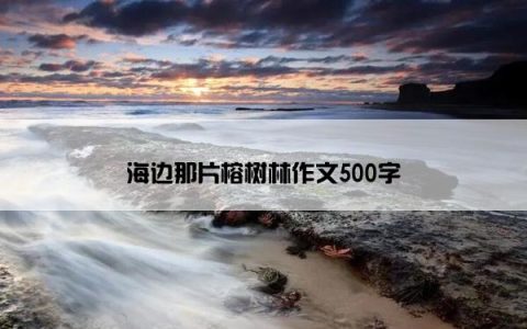 海边那片榕树林作文500字