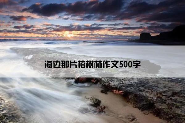 海边那片榕树林作文500字