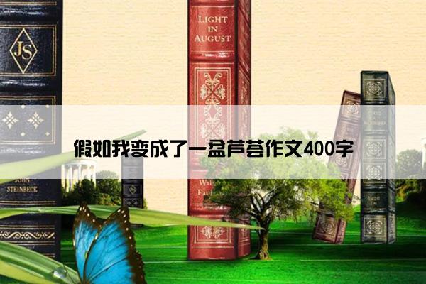 假如我变成了一盆芦荟作文400字