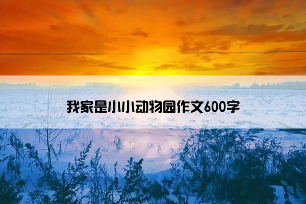 我家是小小动物园作文600字