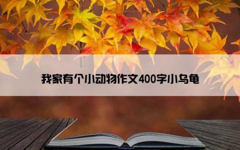 我家有个小动物作文400字小乌龟