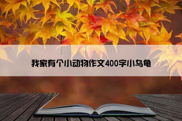 我家有个小动物作文400字小乌龟