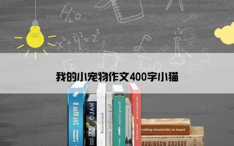 我的小宠物作文400字小猫