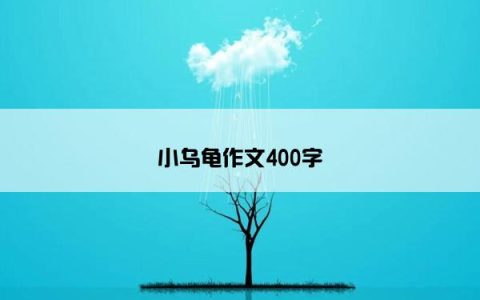 小乌龟作文400字