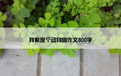 我家是个动物园作文800字