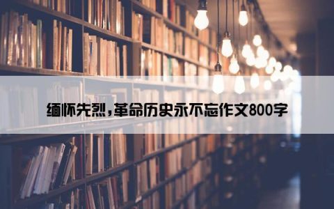 缅怀先烈,革命历史永不忘作文800字
