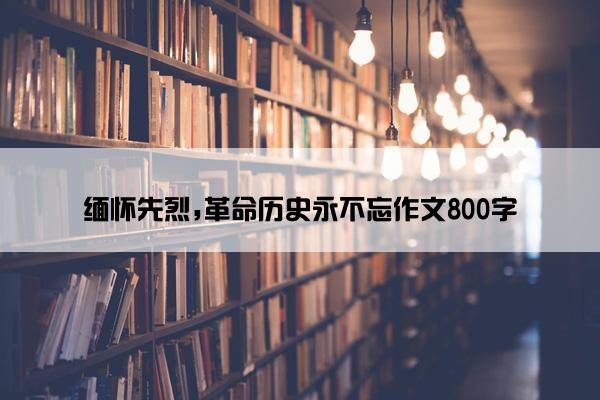 缅怀先烈,革命历史永不忘作文800字