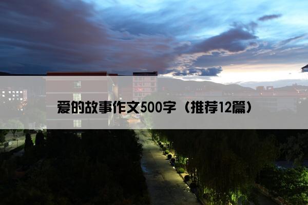 爱的故事作文500字（推荐12篇）