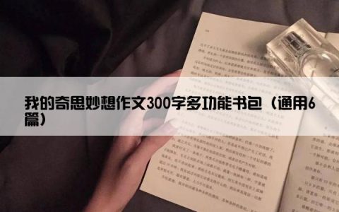 我的奇思妙想作文300字多功能书包（通用6篇）