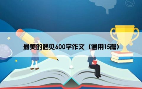 最美的遇见600字作文（通用15篇）