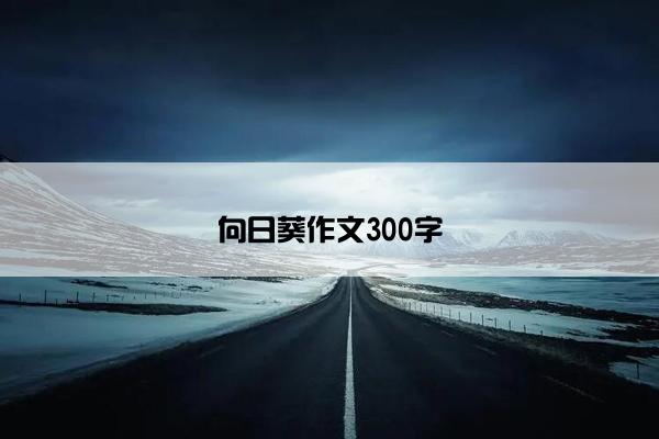 向日葵作文300字