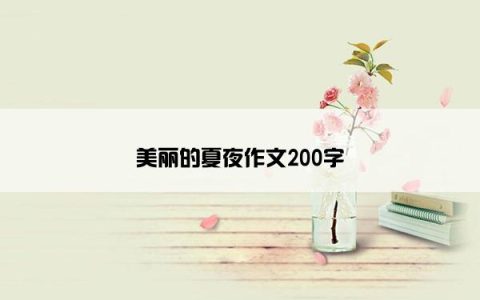 美丽的夏夜作文200字