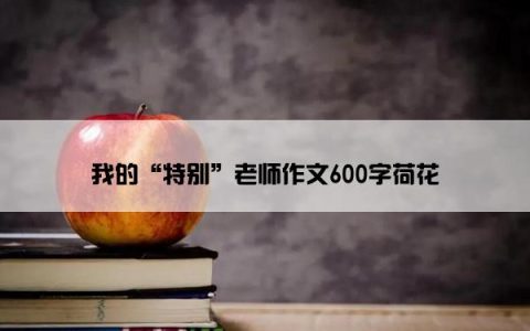 我的“特别”老师作文600字荷花