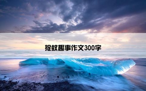 捉蚊趣事作文300字