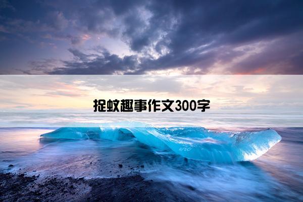 捉蚊趣事作文300字