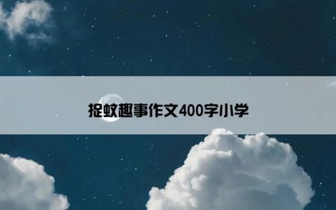 捉蚊趣事作文400字小学
