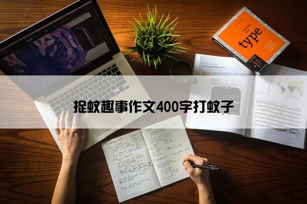 捉蚊趣事作文400字打蚊子