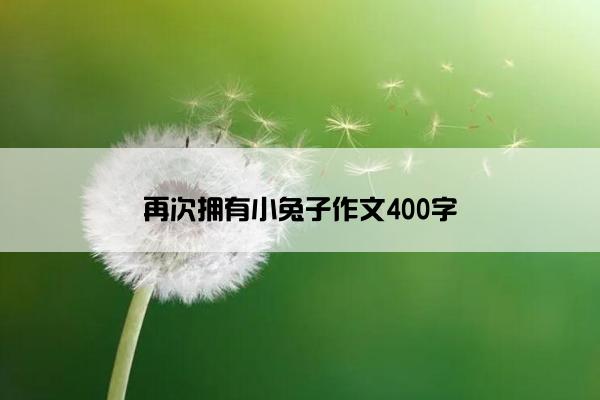 再次拥有小兔子作文400字