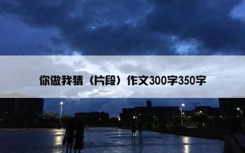 你做我猜（片段）作文300字350字