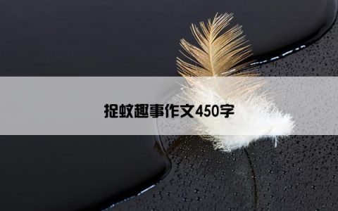 捉蚊趣事作文450字