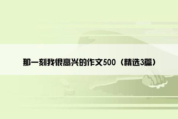 那一刻我很高兴的作文500（精选3篇）