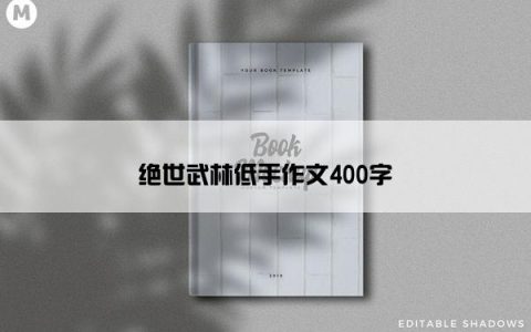 绝世武林低手作文400字