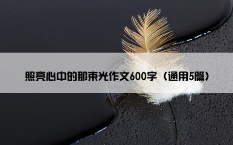 照亮心中的那束光作文600字（通用5篇）