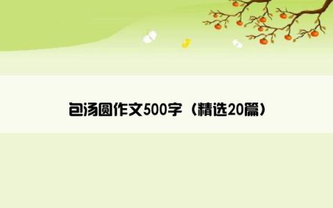 包汤圆作文500字（精选20篇）