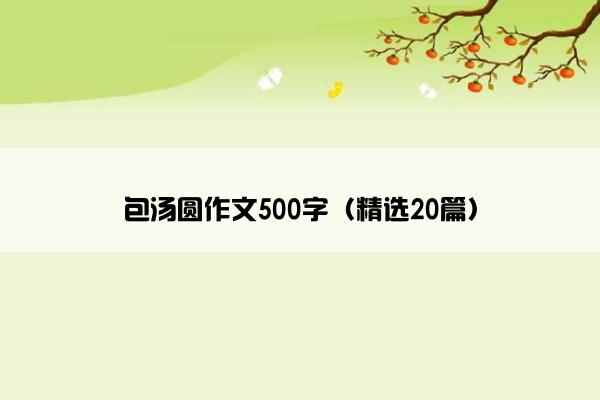 包汤圆作文500字（精选20篇）