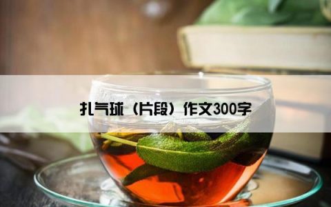 扎气球（片段）作文300字