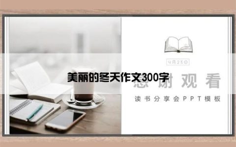 美丽的冬天作文300字