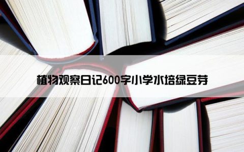 植物观察日记600字小学水培绿豆芽