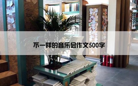 不一样的音乐会作文500字