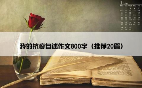 我的抗疫自述作文800字（推荐20篇）